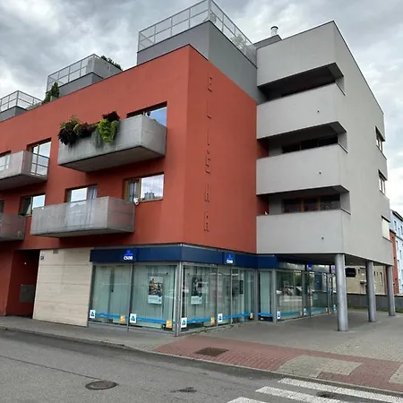 Apartments Spacilova Nearly Center Komarov Exterior photo